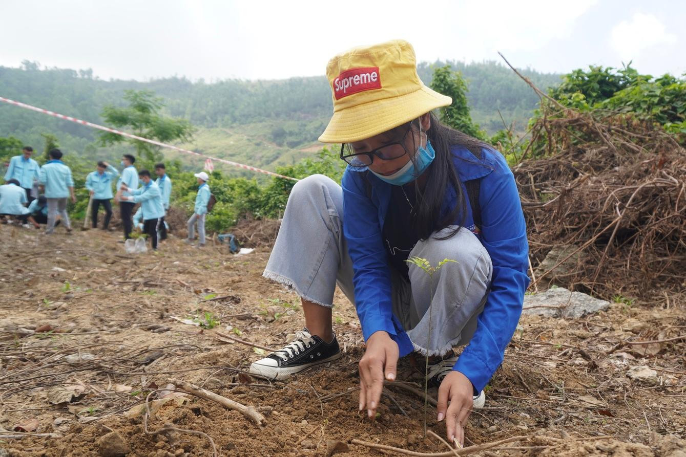 Bạn Nguyễn Thị Phương chăm chút từng cây xanh mới trồng - ảnh Đ.T Bạn Nguyễn Thị Phương chăm chút từng cây xanh mới trồng - ảnh Đ.T