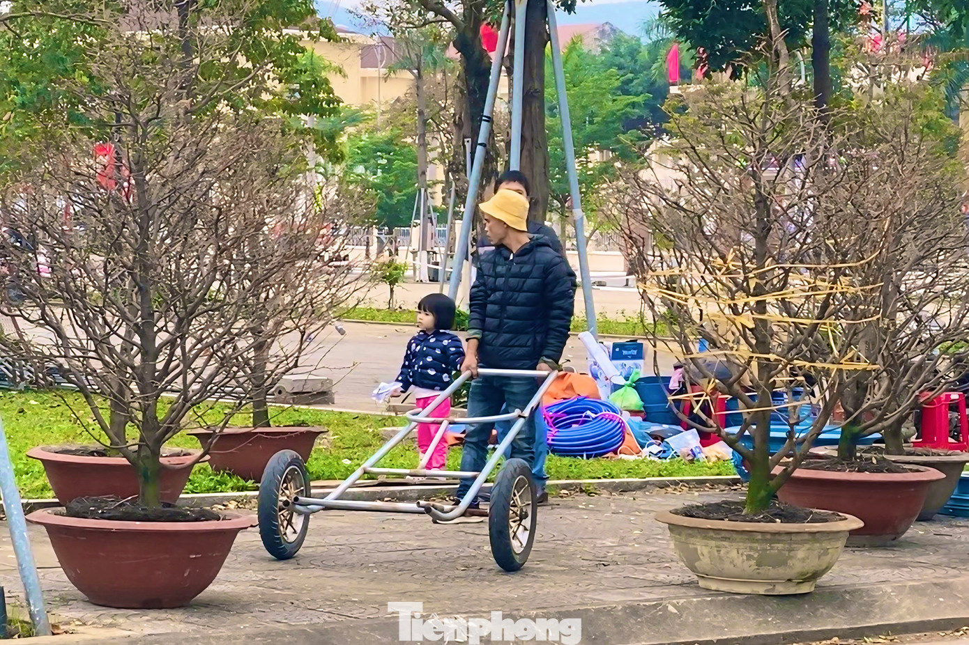 Ai nấy đều hy vọng lượng khách mua hoa, cây cảnh sẽ tiếp tục đông hơn trong những ngày tới, để có thêm thu nhập và chuẩn bị cho một cái Tết Nguyên đán ấm no, đủ đầy. Ảnh: Hữu Tùng.