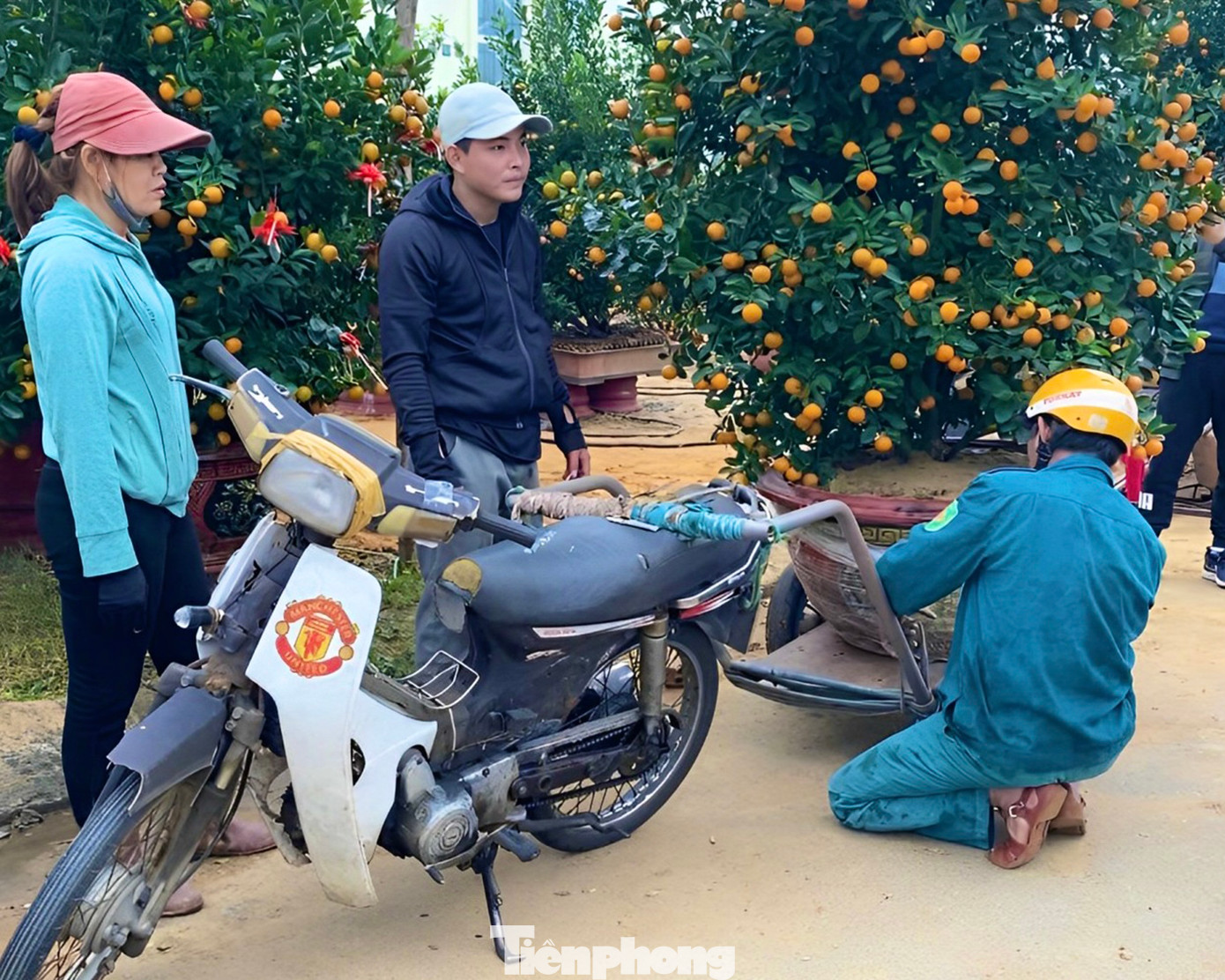 Trên chiếc xe máy của mình, ông Nguyễn Thanh Đông (52 tuổi, trú tại phường Xuân Hòa, quận Cẩm Lệ) cho hay, mỗi chuyến xe ông chở có giá dao động từ 200.000 đồng - 300.000 đồng, tùy thuộc vào kích thước cây và khoảng cách giao hàng. Ảnh: Hữu Tùng