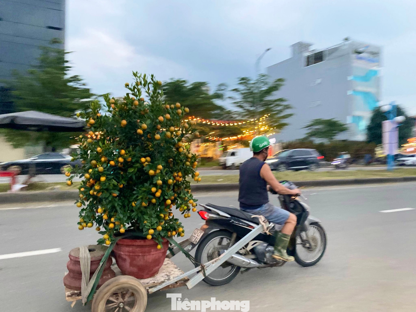 Càng cận Tết, nhu cầu mua hoa tăng cao, và đây là thời điểm dịch vụ vận chuyển hoa thuê “vào mùa”. Đối với những đơn hàng có số lượng lớn hoặc chậu hoa cỡ lớn, họ thường sử dụng xe kéo gắn sau xe máy để di chuyển dễ dàng hơn. Ảnh: Minh Hiền