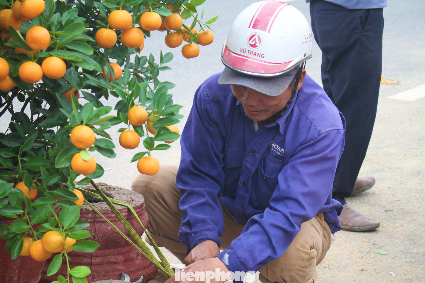 “Tôi bắt đầu công việc từ sáng sớm, ngồi chờ khách mua rồi thuê chở cây về. Phải đến tối, khi không còn ai mua nữa thì mới nghỉ”, ông Tăng tâm sự. Ảnh: Minh Hiền
