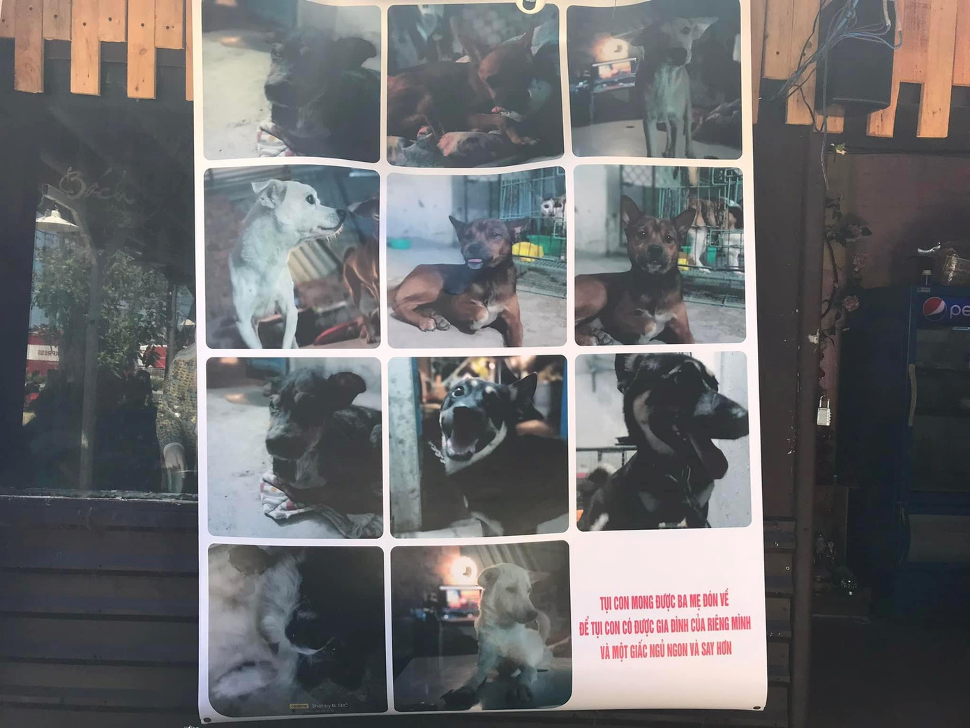 Việc nhận nuôi các bé chó mèo đang được cứu trợ tại nhóm sẽ thông qua hình ảnh, những người tham dự nếu yêu thương muốn nhận nuôi buộc phải đủ điều kiện về nuôi nhốt, vắc xin,... do nhóm đề ra và có cam kết rõ ràng. Việc nhận nuôi các bé chó mèo đang được cứu trợ tại nhóm sẽ thông qua hình ảnh, những người tham dự nếu yêu thương muốn nhận nuôi buộc phải đủ điều kiện về nuôi nhốt, vắc xin,... do nhóm đề ra và có cam kết rõ ràng.