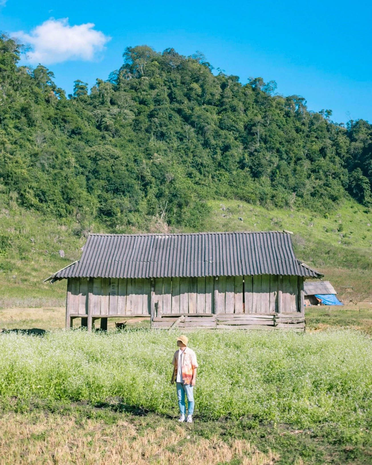 Rọt dành tình yêu đặc biệt cho các bản vùng cao phía Bắc Tổ quốc.