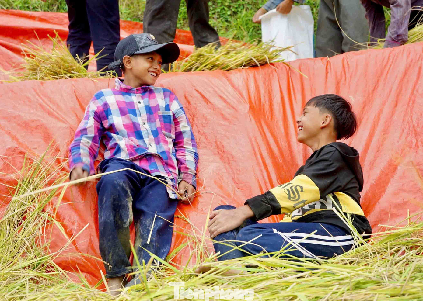 Nụ cười rạng rỡ của các em nhỏ khi giải lao, khiến mùa gặt trên núi Ngọc Linh thêm phần rộn rã. Nụ cười rạng rỡ của các em nhỏ khi giải lao, khiến mùa gặt trên núi Ngọc Linh thêm phần rộn rã.