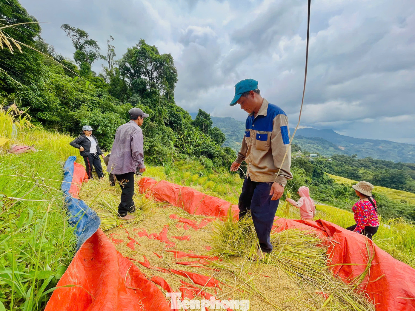 Để có được hạt lúa mang về, bà con nơi đây phải qua rất nhiều công đoạn vất vả, nên họ rất trân quý những hạt lúa do mình làm ra. Để có được hạt lúa mang về, bà con nơi đây phải qua rất nhiều công đoạn vất vả, nên họ rất trân quý những hạt lúa do mình làm ra.