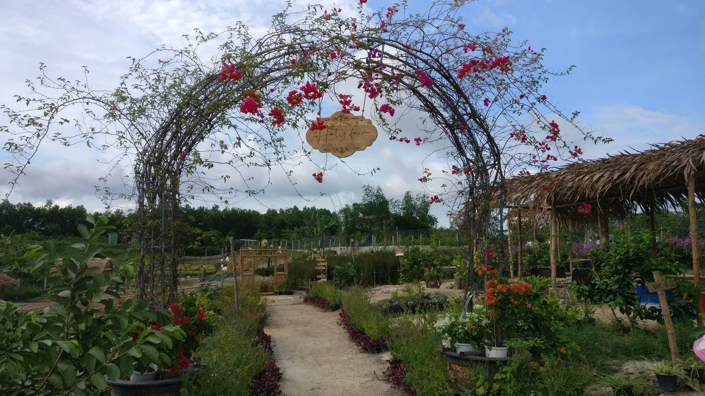 Vườn hoa Haly Farm trở thành điểm check-in thu hút những người mê du lịch trong thời gian gần đây - ảnh Kim Ngân