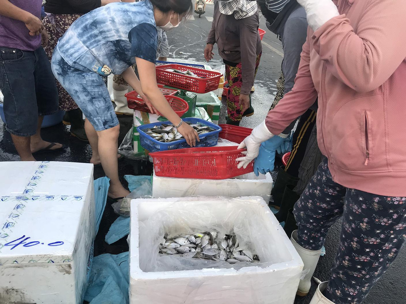 Chị Nguyễn Thị Nguyệt, tiểu thương ở cảng cá Thọ Quang, cho biết: “Xe chở hàng của tôi đã đến cảng từ lúc 3h sáng nhưng khi đến nơi thì tá hỏa vì khu vực đã bị phong tỏa”. Chị Nguyễn Thị Nguyệt, tiểu thương ở cảng cá Thọ Quang, cho biết: “Xe chở hàng của tôi đã đến cảng từ lúc 3h sáng nhưng khi đến nơi thì tá hỏa vì khu vực đã bị phong tỏa”.