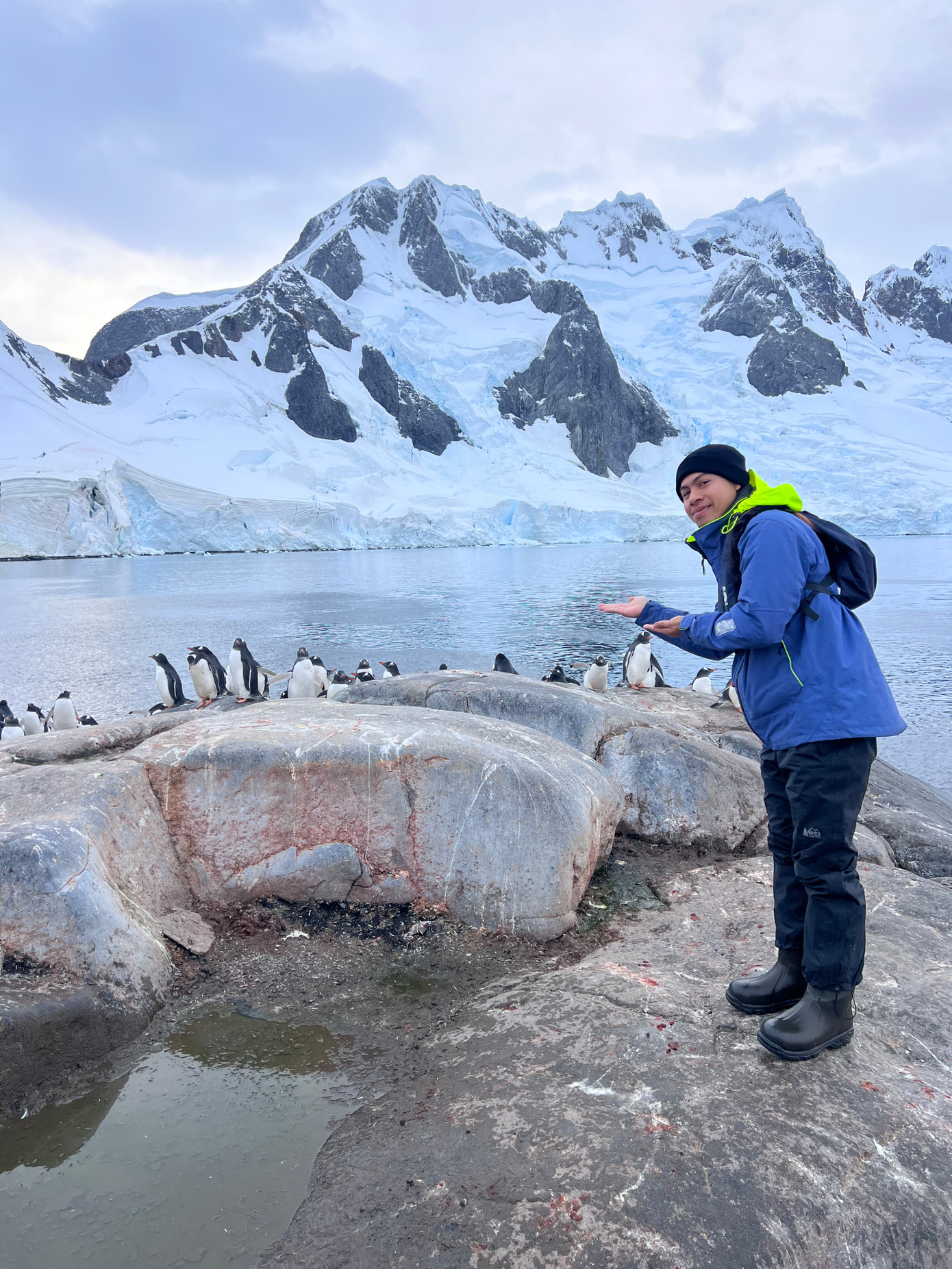 Làm quen với những chú chim cánh cụt ở Nam Cực