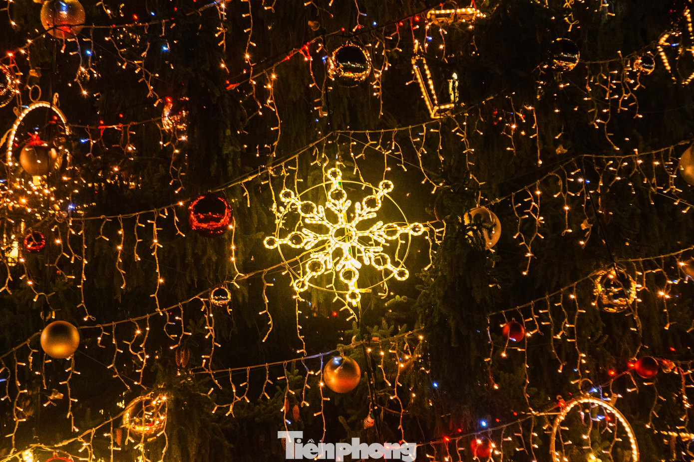 Biểu tượng hoa tuyết được làm bằng dây đèn LED tỏa sáng rực rỡ trên thân cây thông. Ảnh: Kinh Quốc.