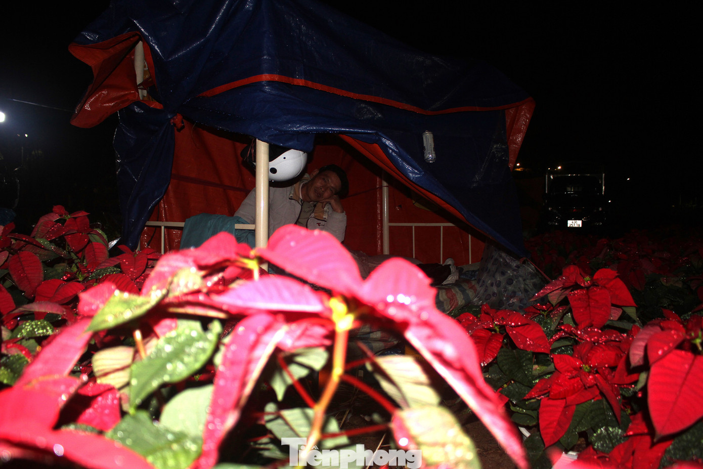 Ông Võ Văn Khôi (45 tuổi, trú tại xã Hòa Liên, huyện Hòa Vang, TP. Đà Nẵng) có khu bán hoa ngay cạnh khu của anh Xuân nên hai người quyết định cùng dựng chung một túp lều để đỡ buồn, có người tâm sự và cũng có thể thay phiên nhau canh để giữ sức cho buổi bán hàng vào sáng ngày mai. Ảnh: Hữu Tùng.