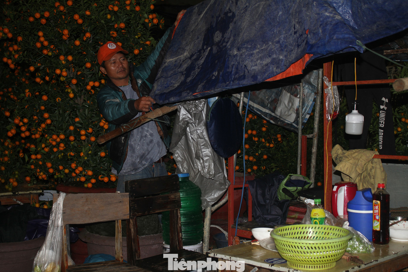 Trên đoạn đường Võ Văn Kiệt (quận Sơn Trà, TP. Đà Nẵng), ông Nguyễn Đình Cần (54 tuổi, trú tại thị xã Điện Bàn, tỉnh Quảng Nam) cho biết ông chỉ vừa mang quất cảnh ra bán vào hôm nay nên đến hơn 12h đêm mới bắt đầu căng bạt làm lều. Ảnh: Hữu Tùng.