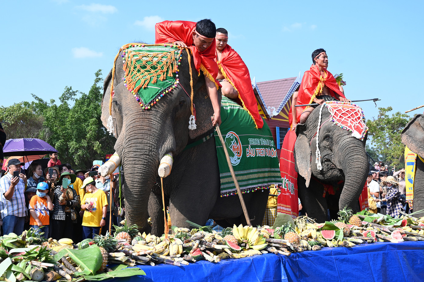 Đại tiệc buffet của các chú voi Bản Đôn (Ảnh: Huỳnh Như) Đại tiệc buffet của các chú voi Bản Đôn (Ảnh: Huỳnh Như)