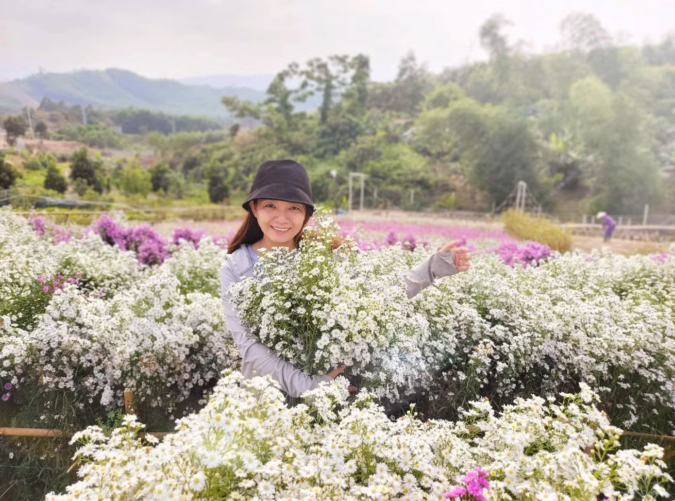 Chị Phan Thiên Lý (chủ vườn hoa Haly Farm), chia sẻ: “Thời gian đầu, gia đình mình chỉ có ý định trồng chơi nhưng khi thấy hoa đẹp quá, mình muốn chia sẻ với nhiều người nên đã dựng thành điểm check-in và đặt tên là Haly Farm” - ảnh Kim Ngân