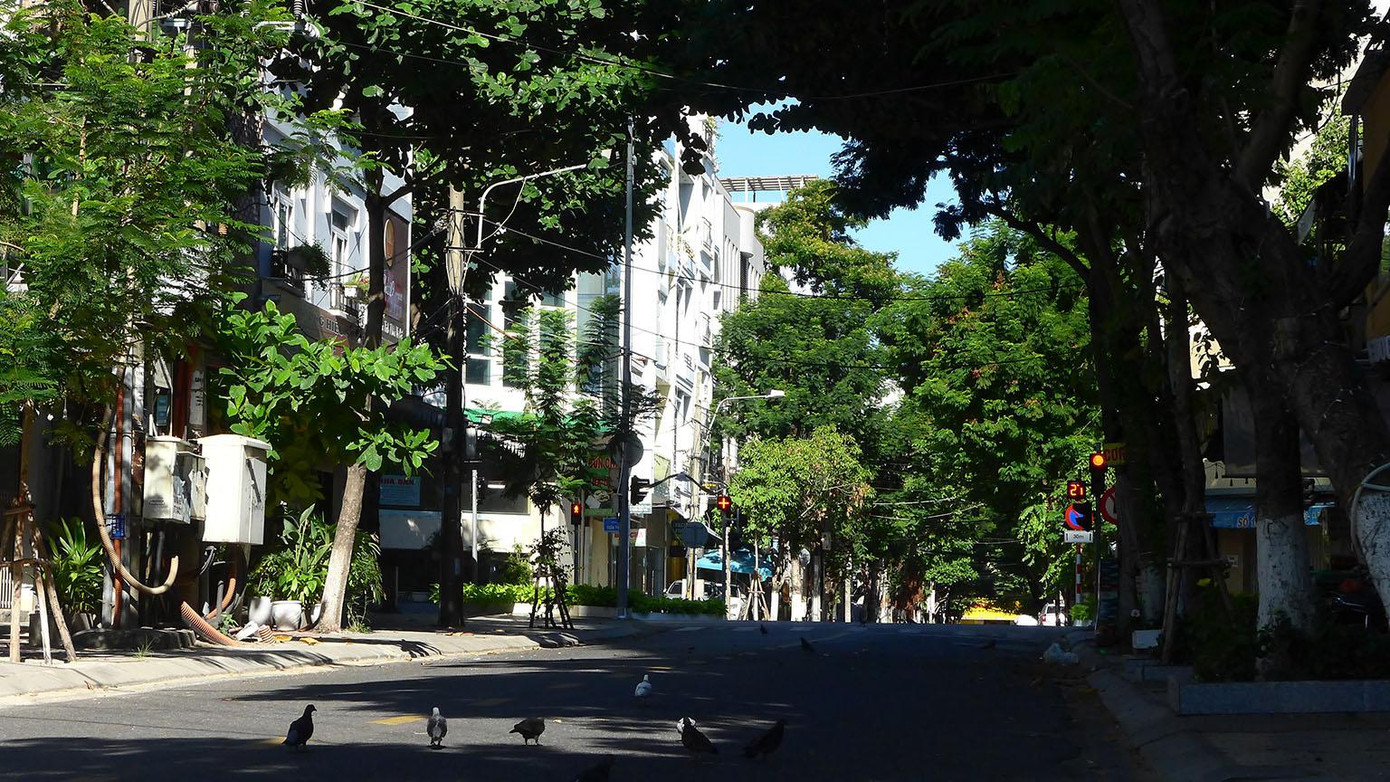 Cùng những chú chim câu lững thững dạo chơi giữa lòng phố vắng người. Ảnh: Tr.T