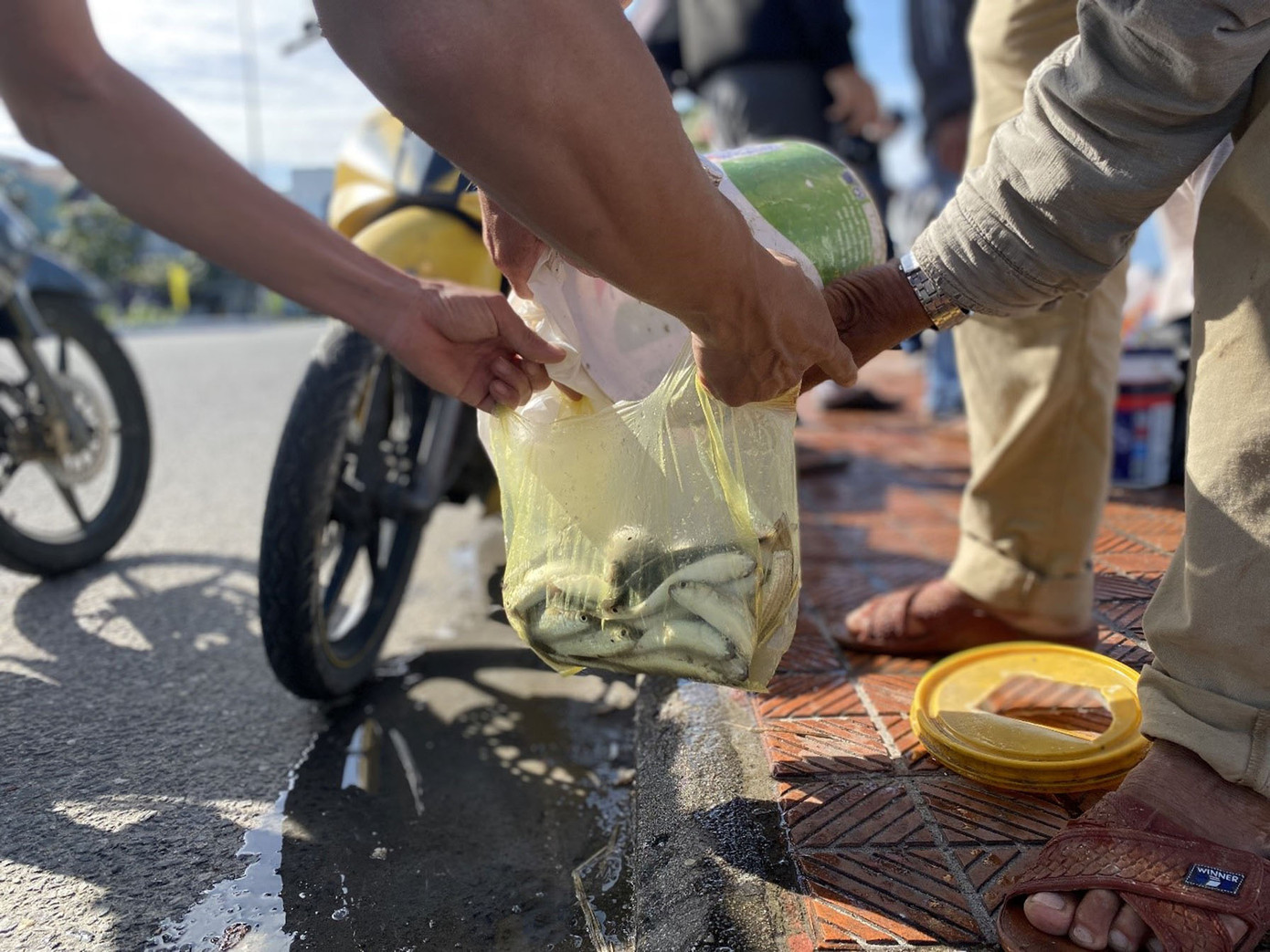 Bên cạnh mục đích câu cá về ăn, làm mồi nhậu, một số “cần thủ” đã bán cá trực tiếp khi có người hỏi mua. Giá bán ở đây không có mức cố định, chỉ cần đôi bên vui vẻ “thuận mua vừa bán”. Ảnh: Phượng Nhung