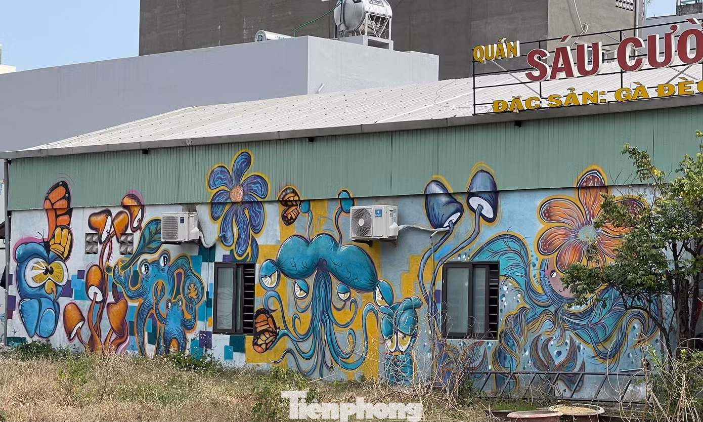 Hiện, tại đây có hơn 10 bức tranh graffiti cỡ lớn cùng nhiều bức tranh nhỏ khác đã và đang được hoàn thiện. Tạo nên không gian nhiều màu sắc cho khu phố. Đây cũng là điểm ghé tham quan, trải nghiệm, check in cho mọi người, khách du lịch.