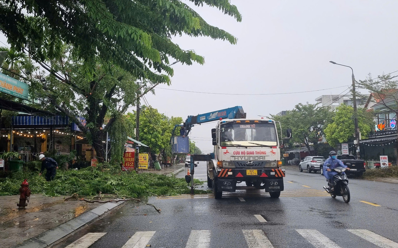 Cắt tỉa cành cây trong nội thị thành phố Tam Kỳ, Quảng Nam