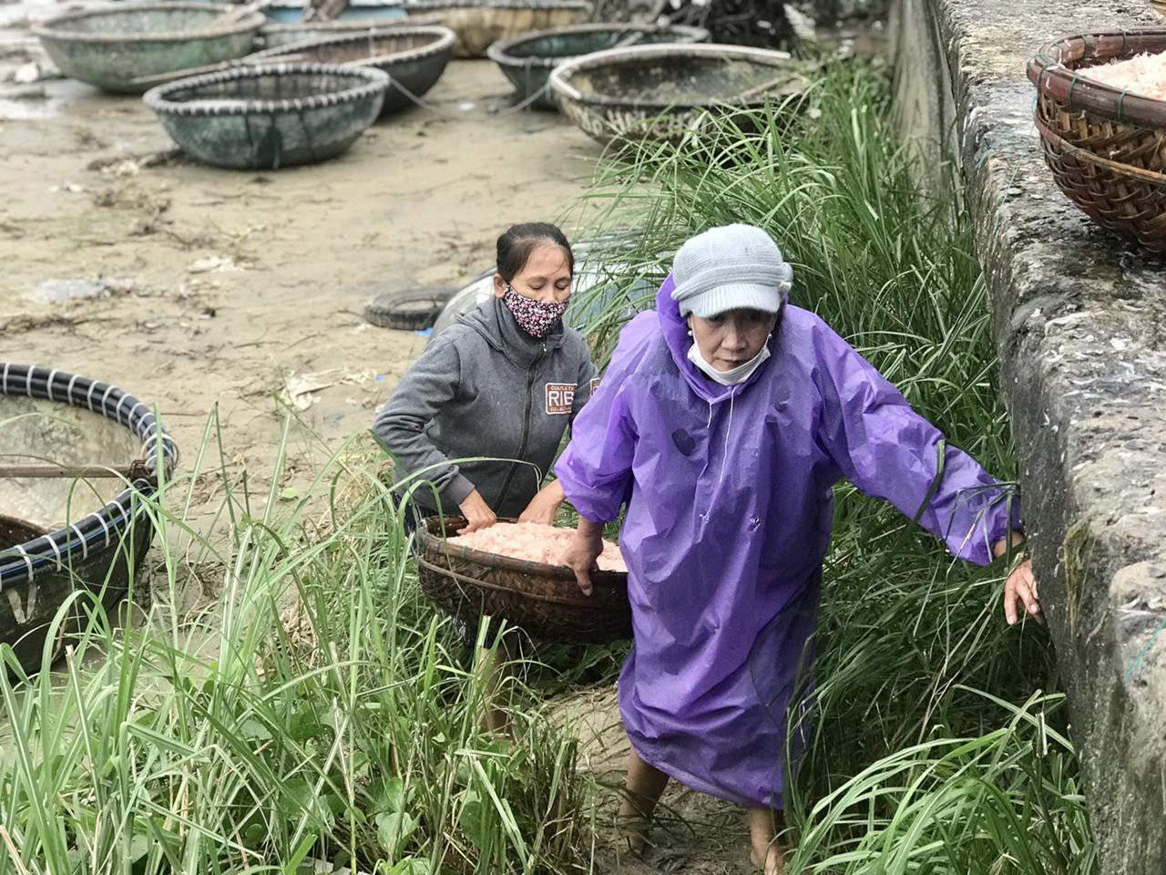 Cứ vào các tháng 12, tháng 1 và 2…dọc bờ biển những con ruốc sẽ vào dày đặc. Ngư dân chỉ việc theo hướng di chuyển của đàn ruốc mà thả lưới.