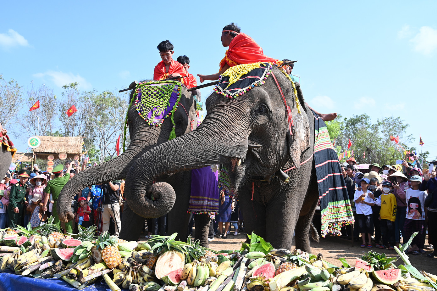Cùng với đó, Hội voi Buôn Đôn năm nay không tổ chức thi voi chạy, voi bơi, voi đá bóng hoặc thi kéo co giữa voi với người. Thay vào đó, các chú voi sẽ được thi trang điểm, tiệc buffet cho voi, thi voi chào khán giả, chụp hình với voi... Cùng với đó, Hội voi Buôn Đôn năm nay không tổ chức thi voi chạy, voi bơi, voi đá bóng hoặc thi kéo co giữa voi với người. Thay vào đó, các chú voi sẽ được thi trang điểm, tiệc buffet cho voi, thi voi chào khán giả, chụp hình với voi...