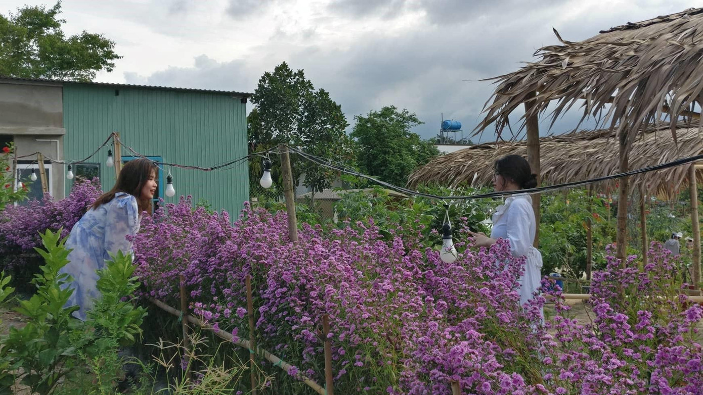 Không thể bỏ lỡ khoảnh khắc đẹp giữa mùa hè - ảnh Tài Anh Hà