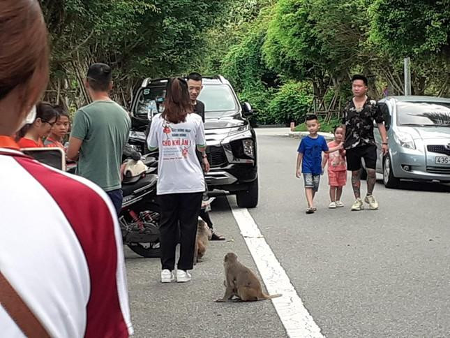 Các bạn sinh viên đang tuyên truyền vận động du khách tham quan Sơn Trà không cho khỉ ăn Các bạn sinh viên đang tuyên truyền vận động du khách tham quan Sơn Trà không cho khỉ ăn