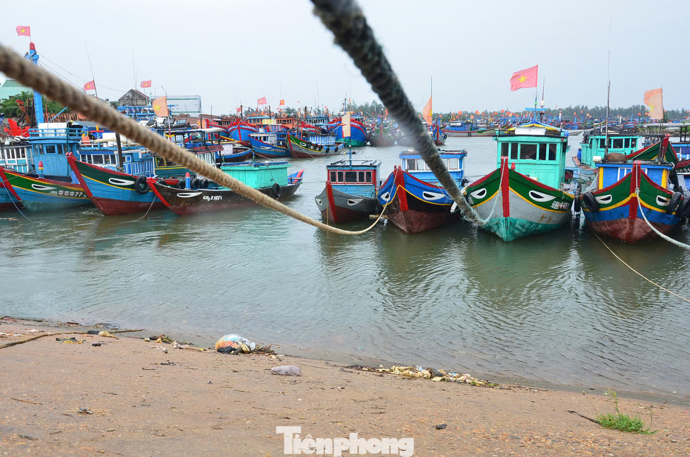 Thời điểm này có 5.954 tàu cá của ngư dân Quảng Ngãi đã neo đậu tại bến. Ảnh: Văn Chương Thời điểm này có 5.954 tàu cá của ngư dân Quảng Ngãi đã neo đậu tại bến. Ảnh: Văn Chương