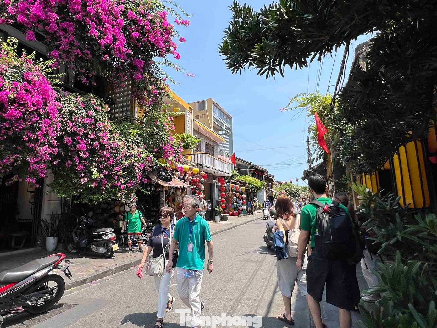 Con đường hoa giấy trải dài theo phố cổ Hội An khiến đoạn đường không khác gì trong phim. Đây là con đường lí tưởng cho những tín đồ mê quay phim, chụp hình.