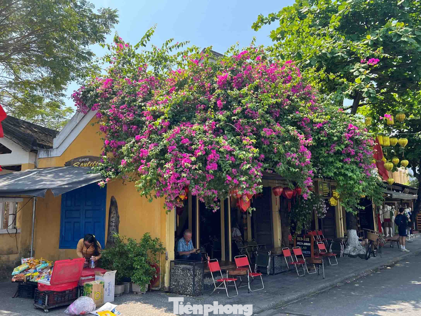 Hoa giấy ươm nắng vàng nơi góc phố nở rộ đem lại cảm xúc bâng khuâng, dịu nhẹ.