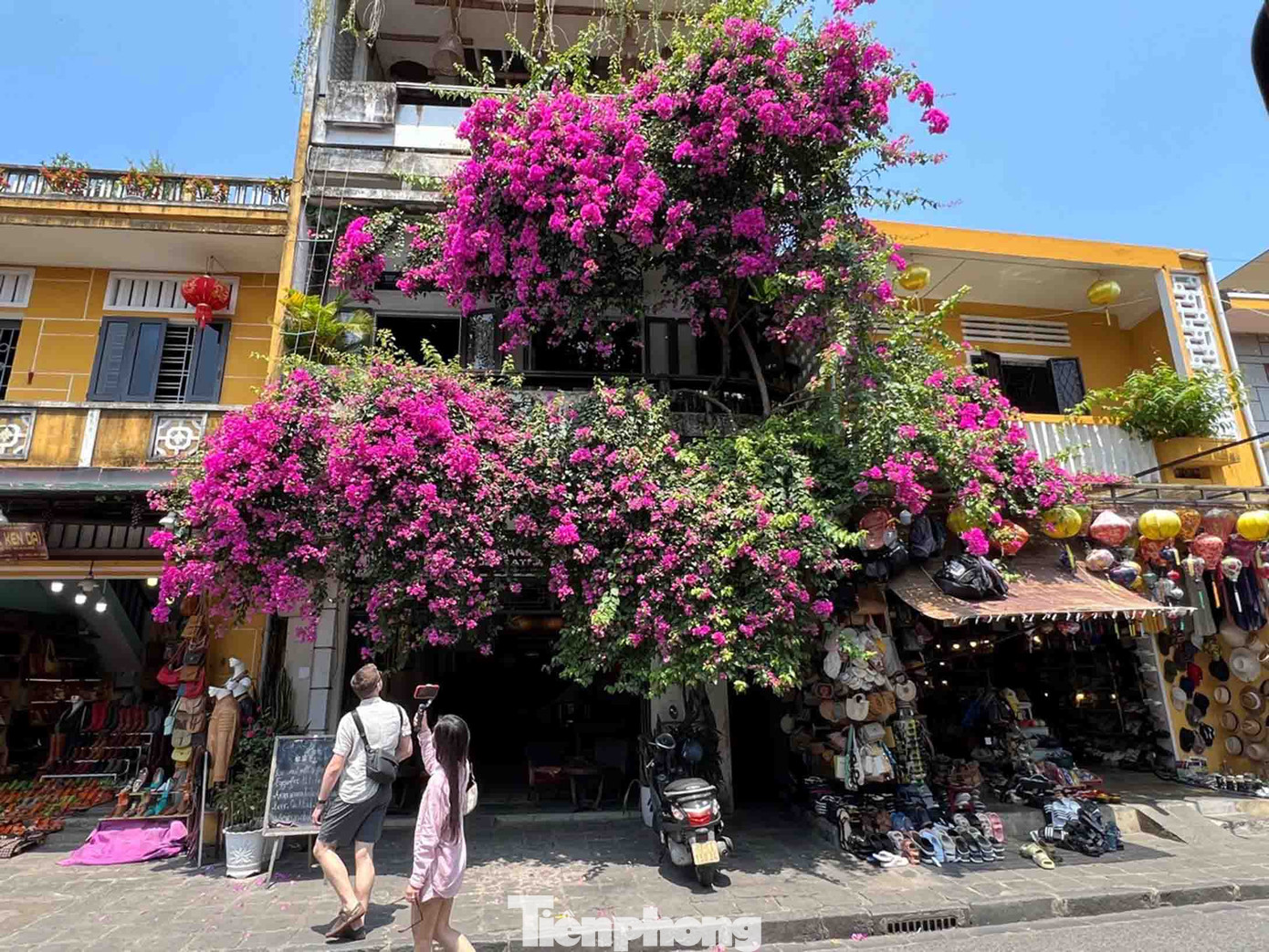 Những chùm hoa giấy gần như phủ kín những ngôi nhà cổ kính, khiến du khách đi qua đều phải ngoảnh lại nhìn.