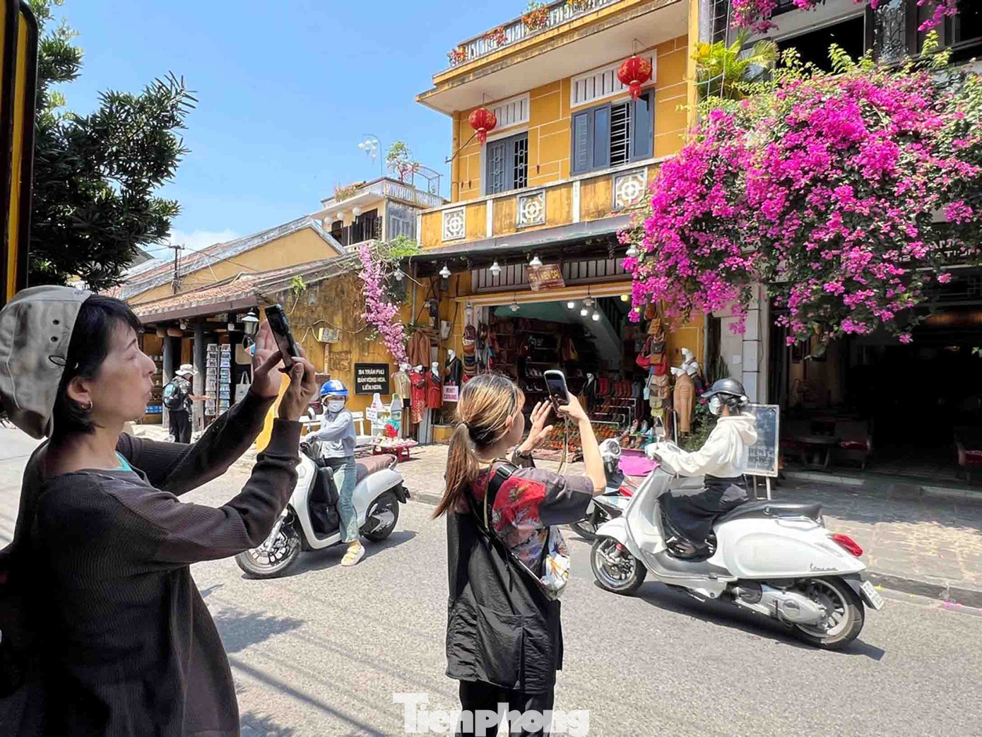 Hoa giấy ở Hội An trở thành địa điểm “hot” mà giới trẻ cùng nhau đến chụp hình.