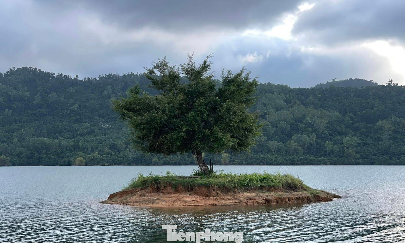 Đặc biệt, điểm nhấn là "cây cô đơn", mọc đơn độc trên một hòn đảo nhỏ mồ côi cách bờ khoảng 10 m.