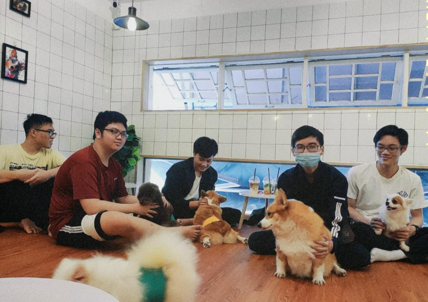 Là quán đầu tiên và duy nhất ở Đà Nẵng phát triển mô hình cà phê thú cưng từ năm 2015, quán cà phê nằm trên đường Lý Tự Trọng mang nét độc đáo và mới lạ giữa thành phố biển.