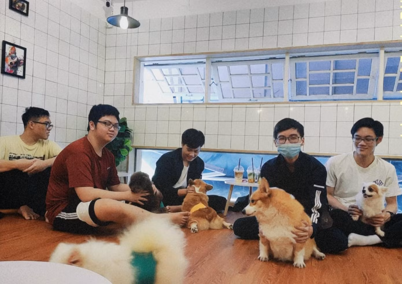 Là quán đầu tiên và duy nhất ở Đà Nẵng phát triển mô hình cà phê thú cưng từ năm 2015, quán cà phê nằm trên đường Lý Tự Trọng mang nét độc đáo và mới lạ giữa thành phố biển.
