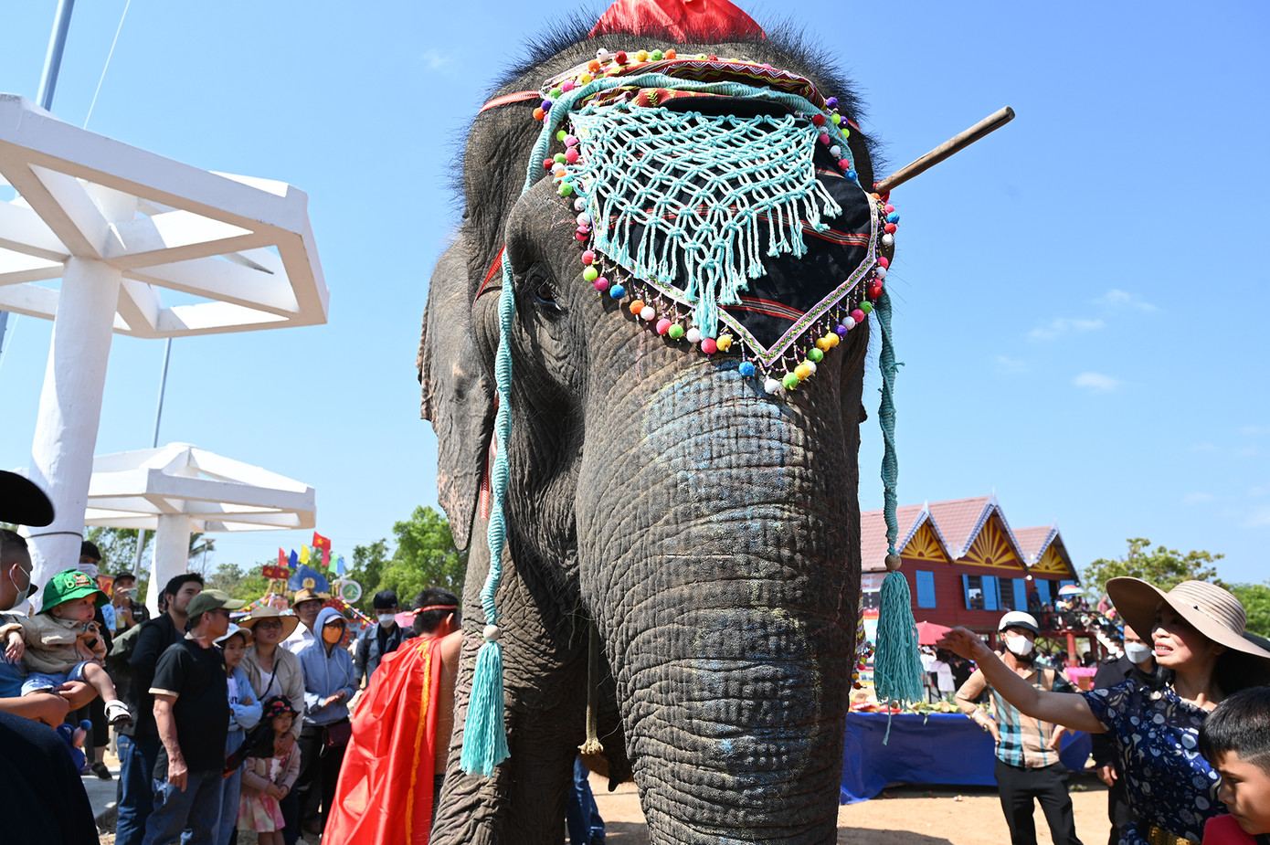 Vẻ đẹp người và voi (Ảnh: Huỳnh Như) Vẻ đẹp người và voi (Ảnh: Huỳnh Như)