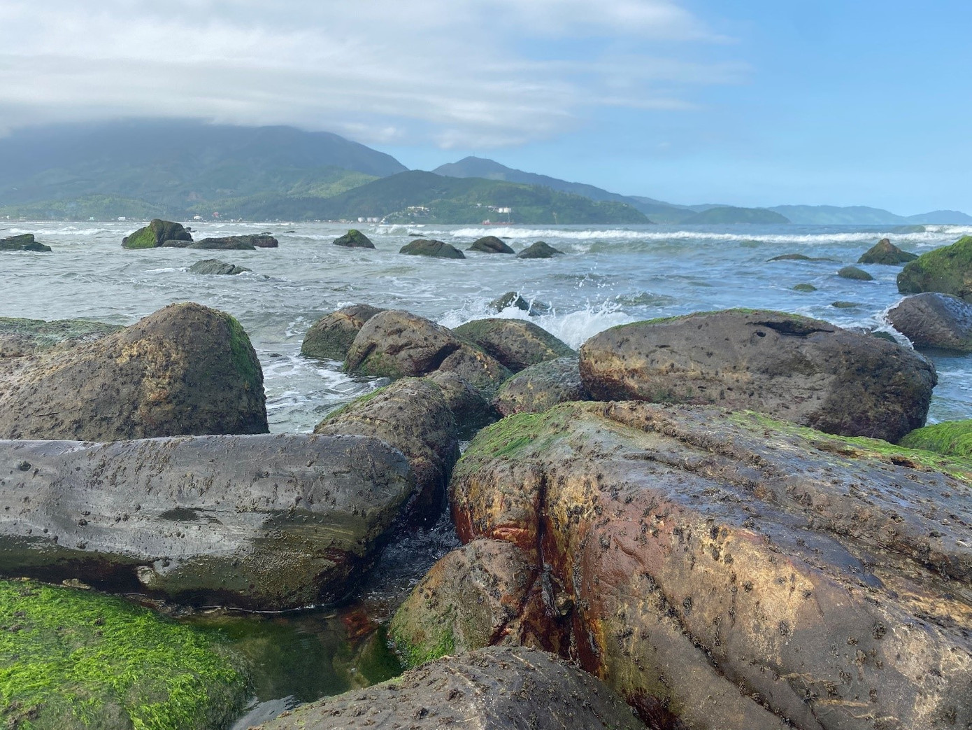 Ghềnh đá Nam Ô vào mùa mứt rong. Ảnh: Phượng Nhung