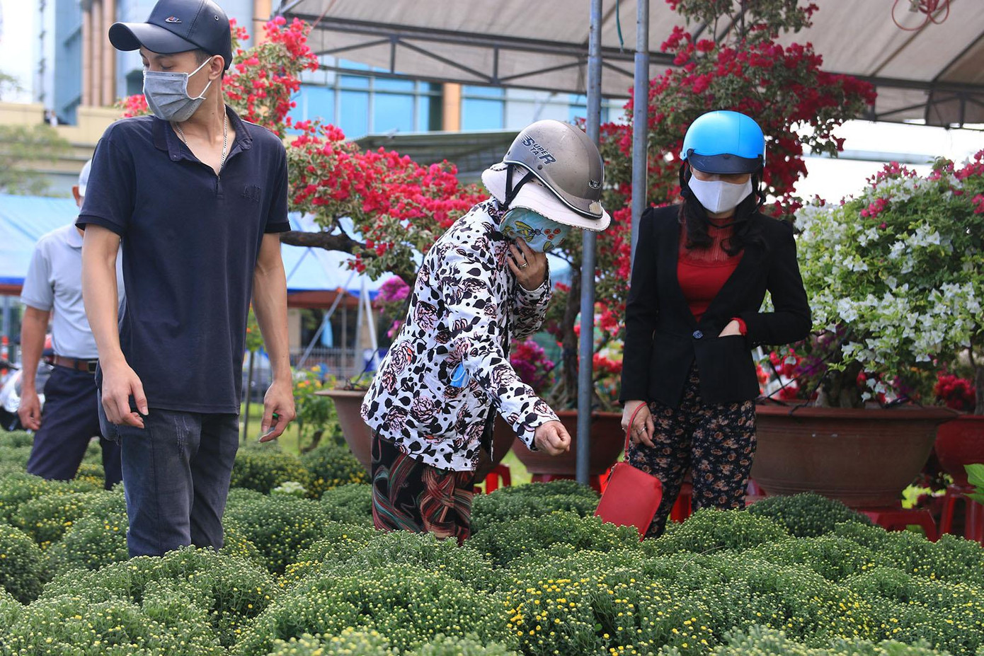 Trải qua một năm chật vật vì dịch, nhà vườn, thương lái mong chờ vào dịp Tết này sẽ đắt hàng, được giá. Trải qua một năm chật vật vì dịch, nhà vườn, thương lái mong chờ vào dịp Tết này sẽ đắt hàng, được giá.