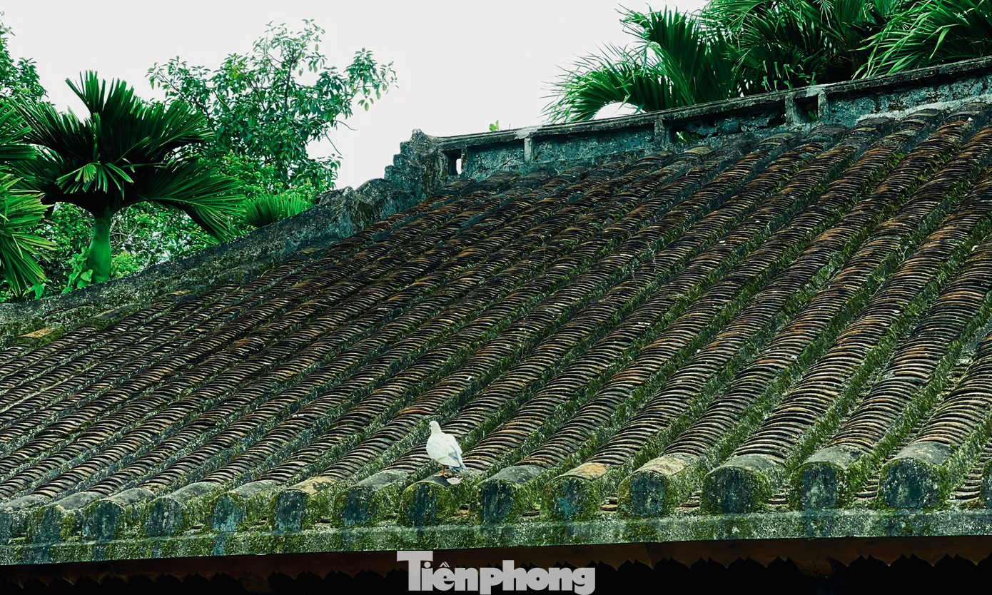 Cùng với hệ thống kèo, xà nhà, lợp mái âm dương… những nghệ nhân đã tạo nên ngôi nhà vững chắc, thoáng mát cùng nét hoa văn đặc sắc.