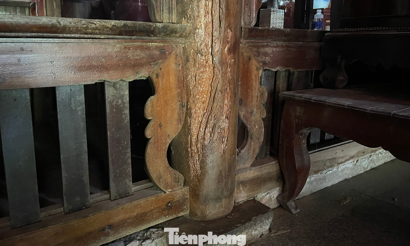 Các cây cột lớn đều sử dụng gỗ cây mít khác so với các nhà cổ ngoài miền Bắc thường sử dụng gỗ lim hay gỗ gõ. Gỗ mít khắc họa lên vẻ đẹp mộc mạc nhưng đầy uy nghi, cổ kính.