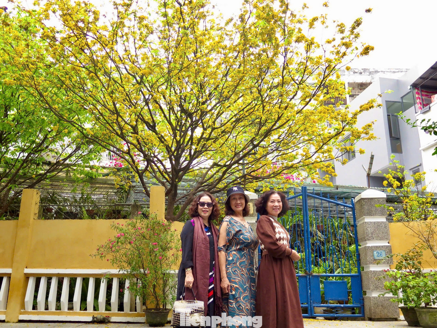 Bà Lê Thị Tuyết Huệ cùng bạn thân checkin cây mai vàng. Ảnh: Ngọc Thắm Bà Lê Thị Tuyết Huệ cùng bạn thân checkin cây mai vàng. Ảnh: Ngọc Thắm