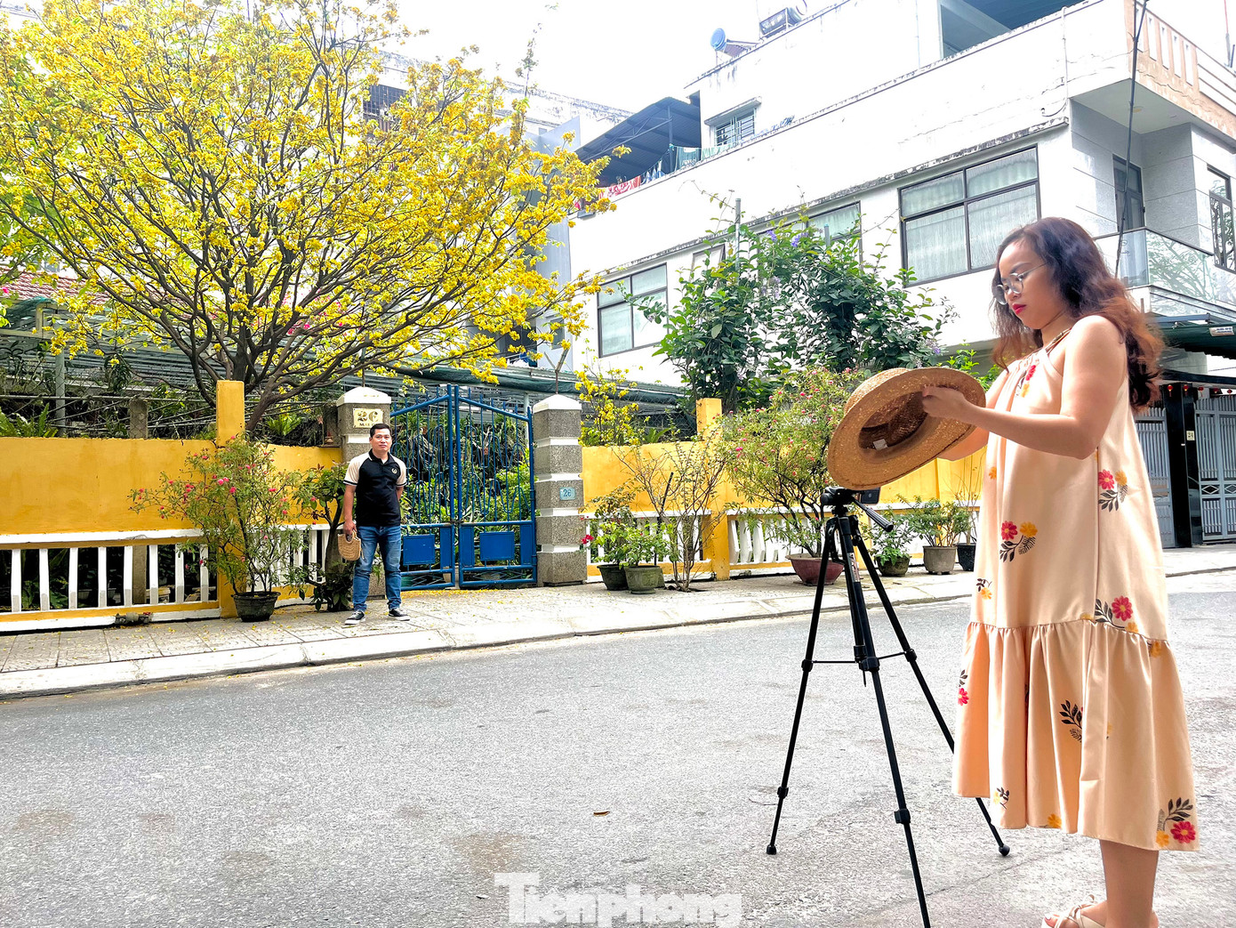 Từ 9 đến 11 giờ sáng và 14-15 giờ chiều là thời điểm checkin đông đúc nhất ở khu vực cây mai “hot” nhất Đà Nẵng năm nay. Ảnh: Lệ Thủy Từ 9 đến 11 giờ sáng và 14-15 giờ chiều là thời điểm checkin đông đúc nhất ở khu vực cây mai “hot” nhất Đà Nẵng năm nay. Ảnh: Lệ Thủy