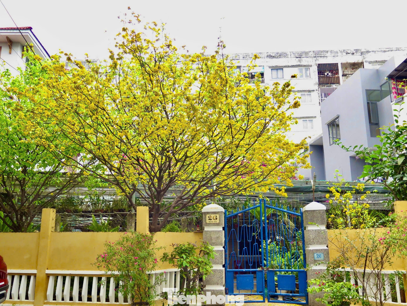 Khung trời vàng giữa phố. Ảnh: Ngọc Thắm Khung trời vàng giữa phố. Ảnh: Ngọc Thắm