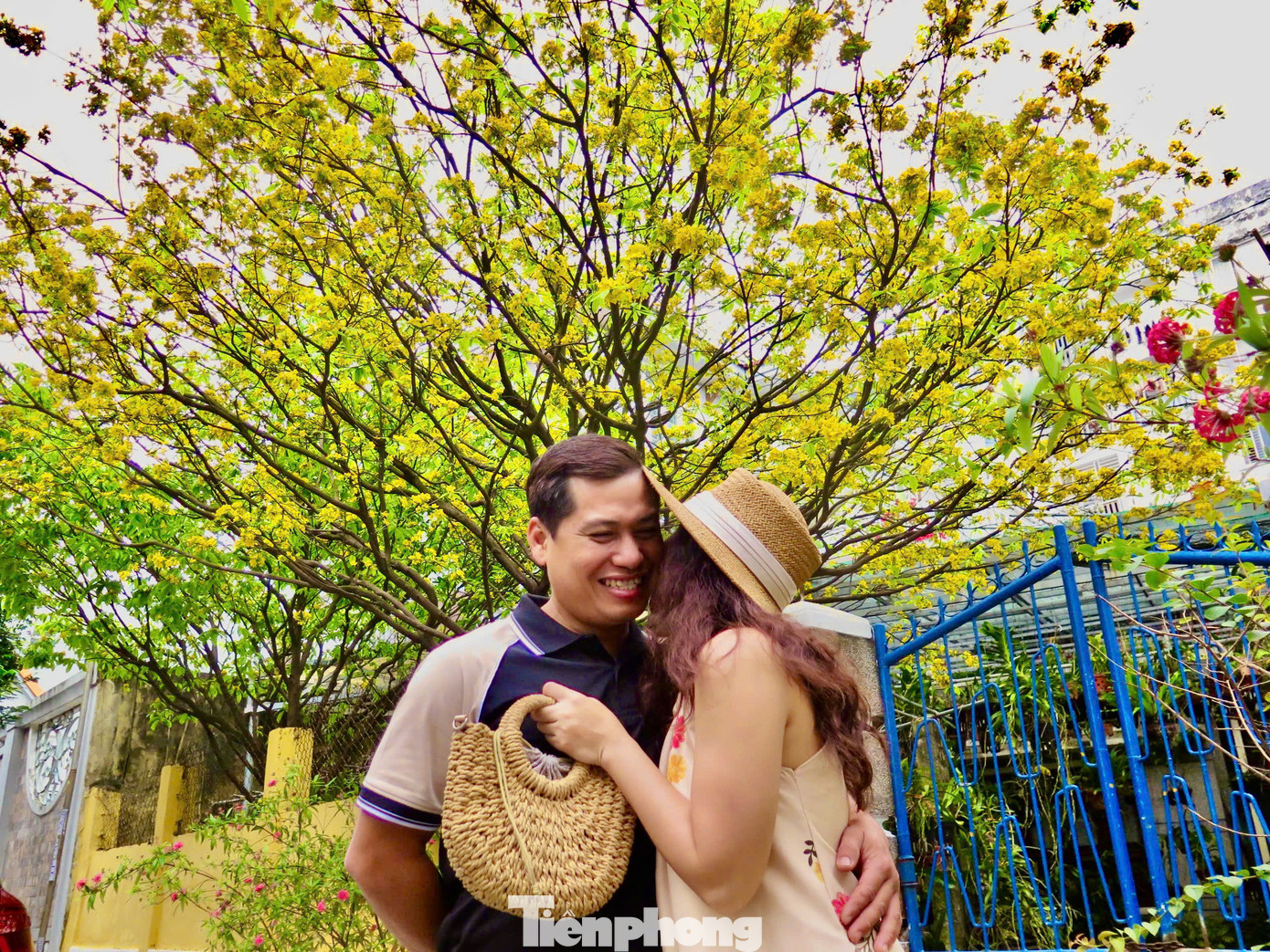 Chị Lan và bạn trai phút giây hạnh phúc dưới tán mai vàng. Ảnh: Ngọc Thắm Chị Lan và bạn trai phút giây hạnh phúc dưới tán mai vàng. Ảnh: Ngọc Thắm
