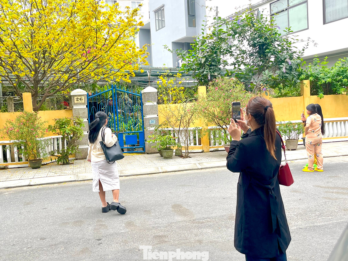 Từ 9 đến 11 giờ sáng và 14-15 giờ chiều là thời điểm checkin đông đúc nhất ở khu vực cây mai “hot” nhất Đà Nẵng năm nay. Ảnh: Lệ Thủy Từ 9 đến 11 giờ sáng và 14-15 giờ chiều là thời điểm checkin đông đúc nhất ở khu vực cây mai “hot” nhất Đà Nẵng năm nay. Ảnh: Lệ Thủy