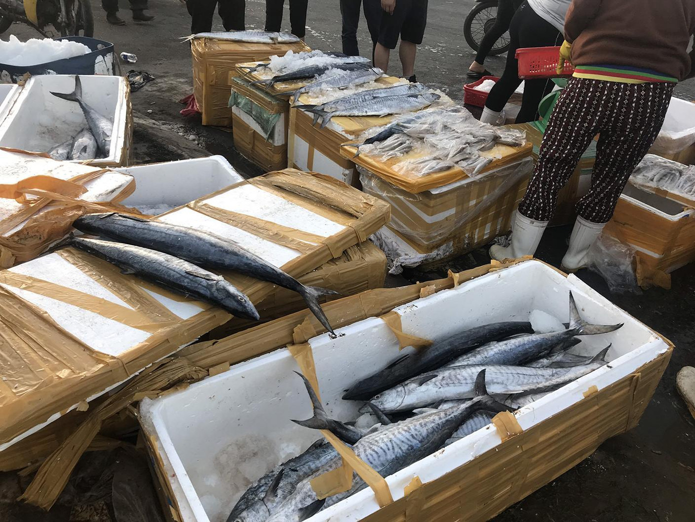 “Tôi rất hoang mang khi không biết làm sao để tiêu thụ số hàng trên xe. May được phép bán trên vỉa hè nên tôi mới tiêu thụ được số lượng cá trên xe”, chị Nguyệt chia sẻ. “Tôi rất hoang mang khi không biết làm sao để tiêu thụ số hàng trên xe. May được phép bán trên vỉa hè nên tôi mới tiêu thụ được số lượng cá trên xe”, chị Nguyệt chia sẻ.