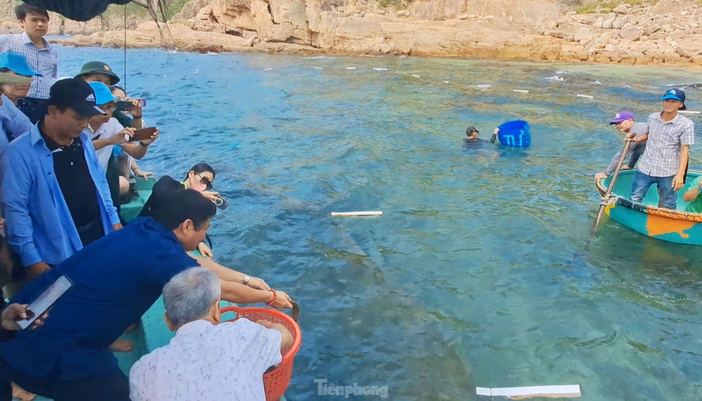 Thả cá chình giống xuống khu vực biển xã Nhơn Hải