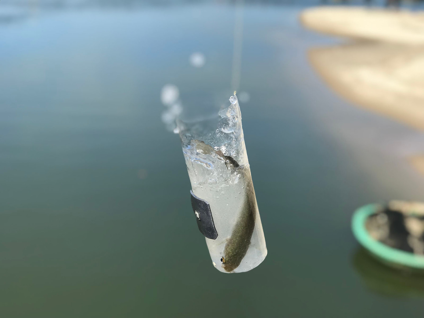 “Cho 1 muỗng bột mì vào chai nhựa đựng 1/3 nước, khuấy đều rồi thả xuống chờ đến khi dây cước rung thì kéo lên”, ông Trần Anh Đức (54 tuổi) chia sẻ về cách câu độc đáo đối với loài cá này. Ảnh: Phượng Nhung