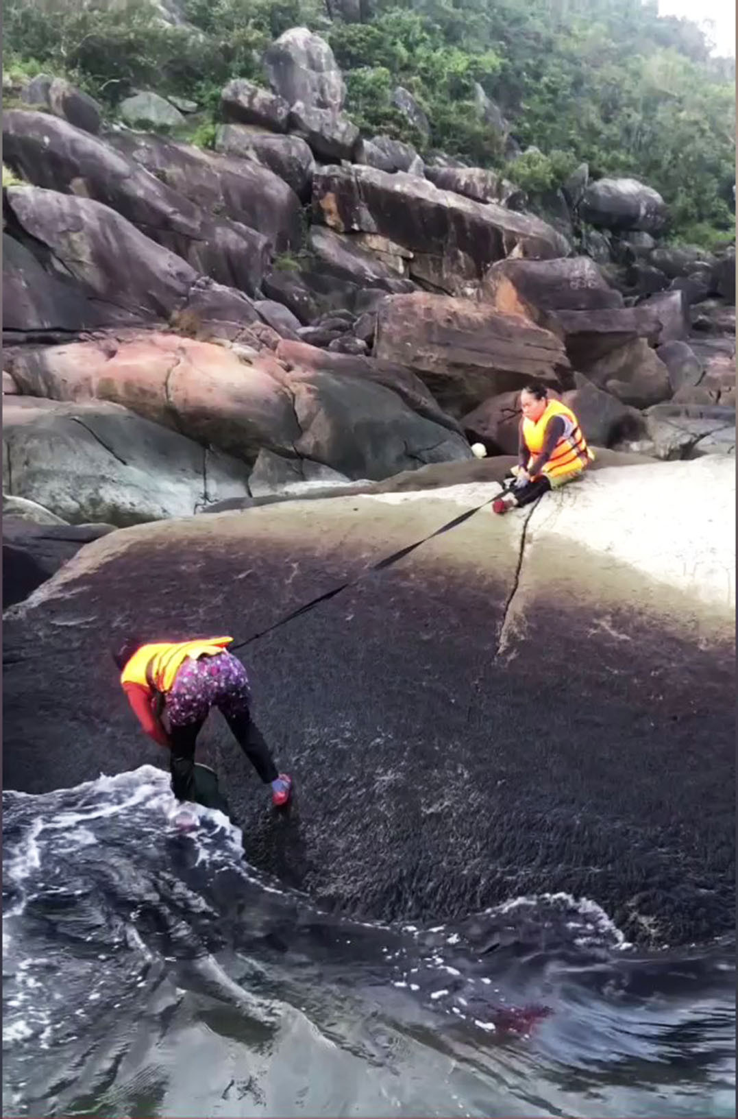 Ở những vách đá cheo leo trơn trượt này, muốn cạo được mứt cần có sự hỗ trợ của một người khác. Người cạo mứt chỉ làm 1 tay, tay còn lại phải bám chặt dây bảo hộ để khỏi bị trượt rơi xuống biển. Trong không gian bao la, tiếng sóng vỗ vào đá, vẫn nghe rõ tiếng ken két cạo vào đá để lấy mứt của những người phụ nữ . Ảnh: NVCC