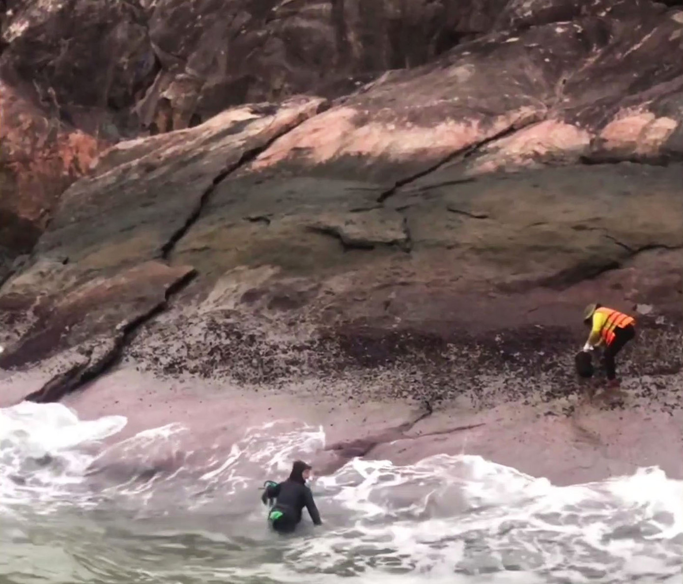 Tiếp cận ghềnh đá, họ phải bơi để leo lên những mỏm đá trơn trượt có mứt rong, bắt đầu cuộc mưu sinh