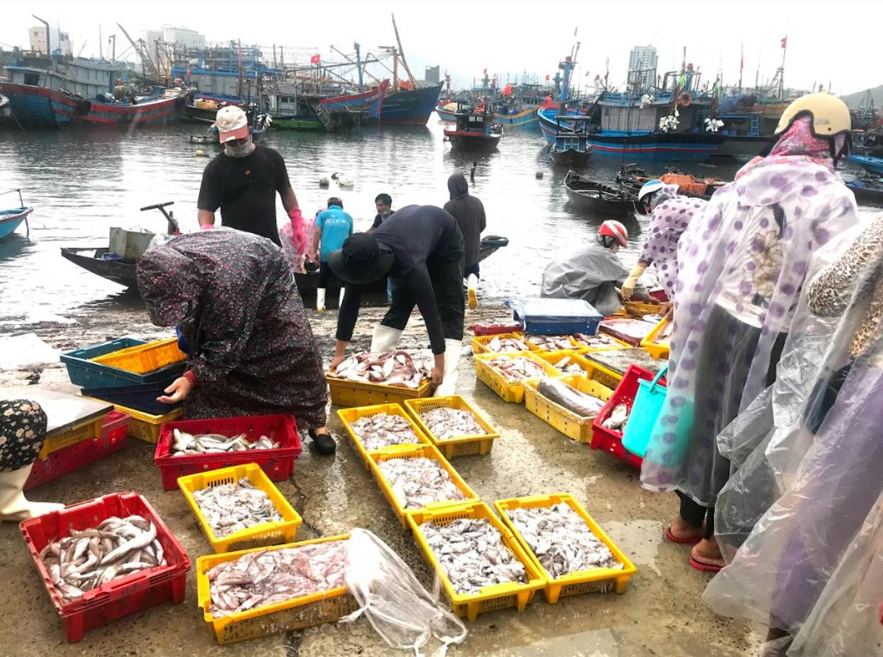 Anh Nguyễn Hải, một ngư dân vừa vào bến chia sẻ: "Nhận được tin có bão, cả thuyền chúng tôi đã nhanh chóng thu dọn quay vào bờ. May mắn trước đó thuyền chúng tôi đã thuận lợi đánh bắt được không ít hải sản. Nay về bến bán được giá, chúng tôi vui lắm" - Ảnh Th.L