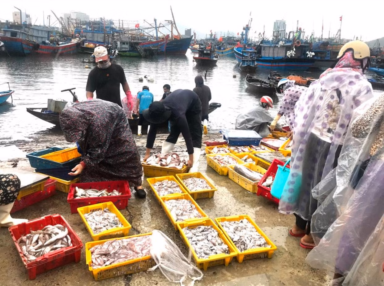 Anh Nguyễn Hải, một ngư dân vừa vào bến chia sẻ: "Nhận được tin có bão, cả thuyền chúng tôi đã nhanh chóng thu dọn quay vào bờ. May mắn trước đó thuyền chúng tôi đã thuận lợi đánh bắt được không ít hải sản. Nay về bến bán được giá, chúng tôi vui lắm" - Ảnh Th.L
